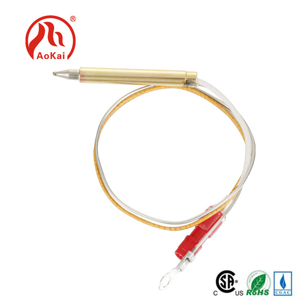 Thermocouple Cooking. Ժամանակակից մոտեցում ճշգրիտ խոհարարության նկատմամբ